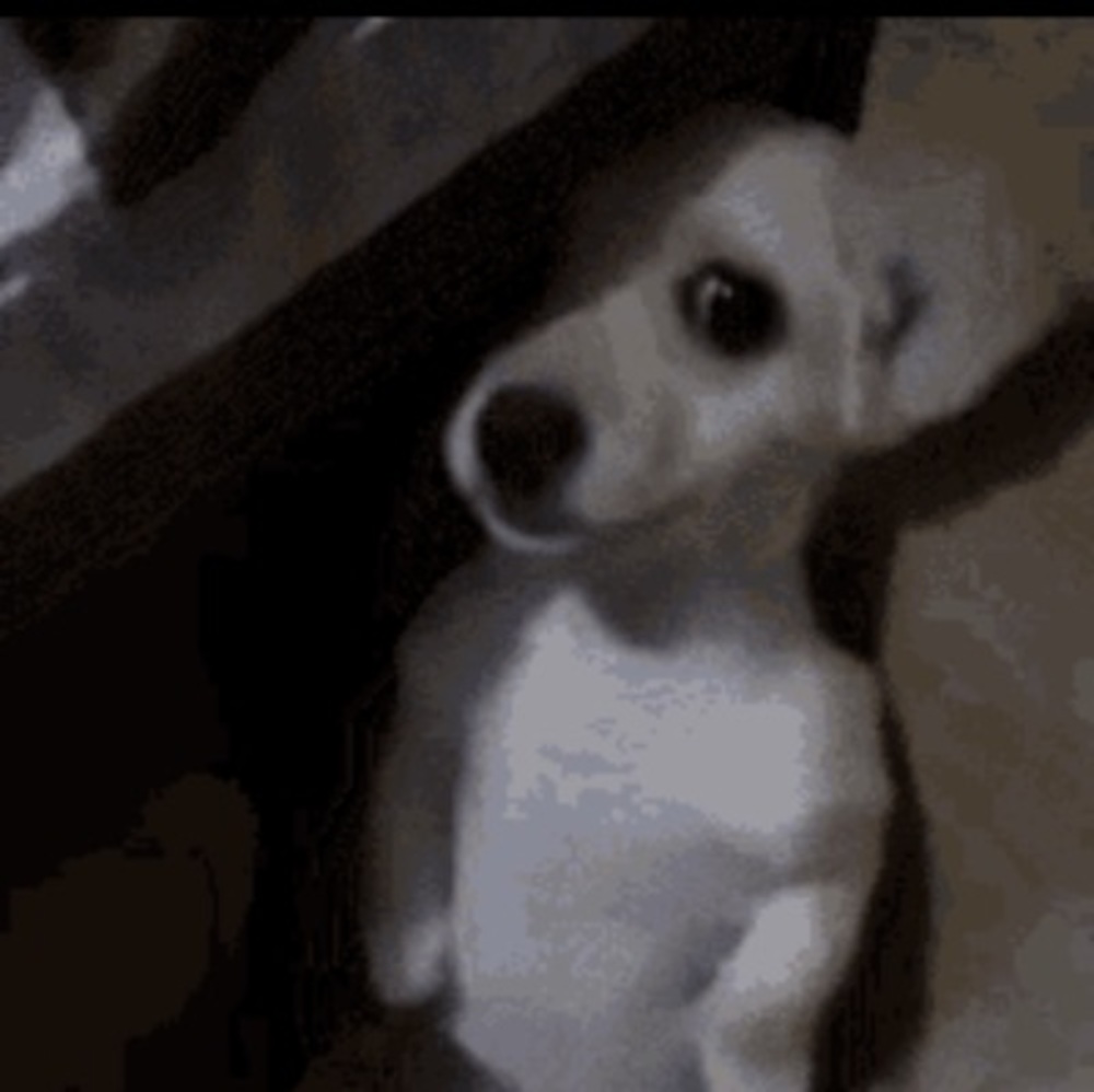 Meet your Posher, Mia